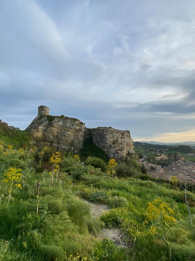 Apartament La Ginestra Corleone Zewnętrze zdjęcie